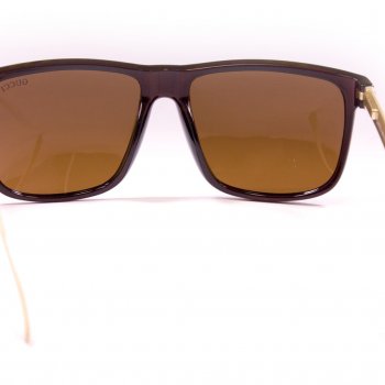 Очкиi polarized (7918-1)