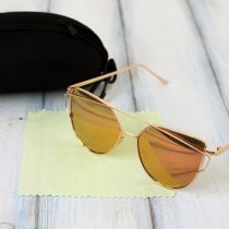 Очки в футляре polarized F8911-4